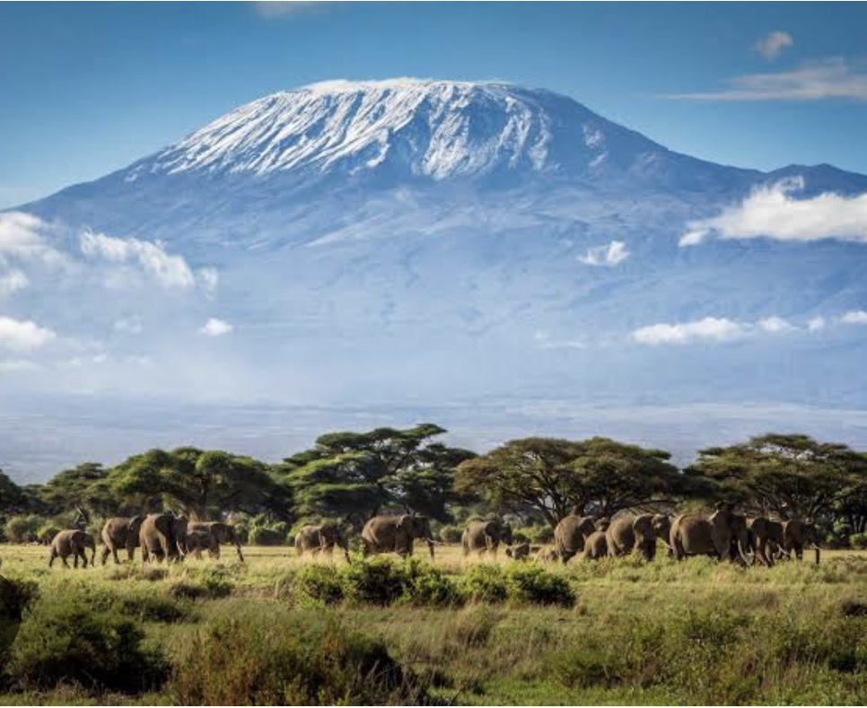 Pakeliui į Tanzaniją